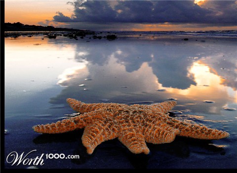Photoshop Design by moochacha
