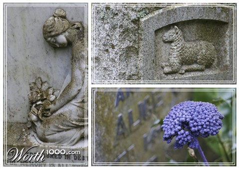 Photography by Massie