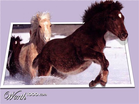 Photoshop Design by zynnya