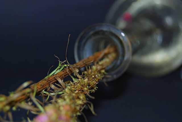 Photography by robinsphotos for DesignCrowd (Community Contests) | Design #9022926