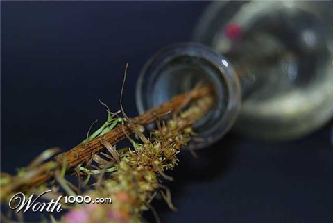 Photography by robinsphotos