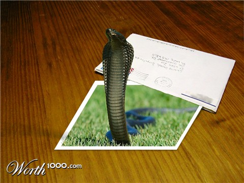 Photoshop Design by kibbitzmom