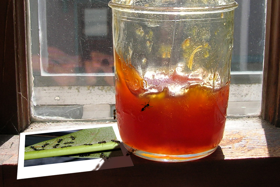 Diseño de Photoshop por Snowcrash para DesignCrowd (Community Contests) | Diseño #9019014