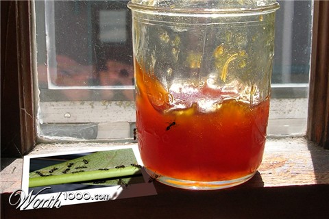 Photoshop Design by Snowcrash