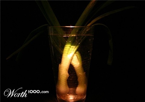 Photography by anindya