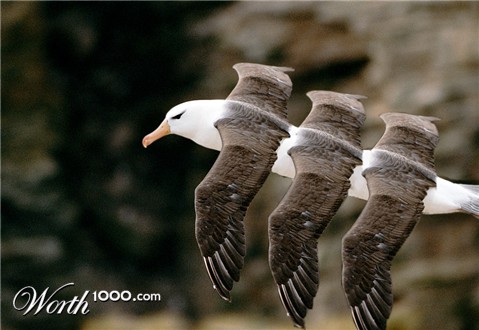 Photoshop Design by bazza99