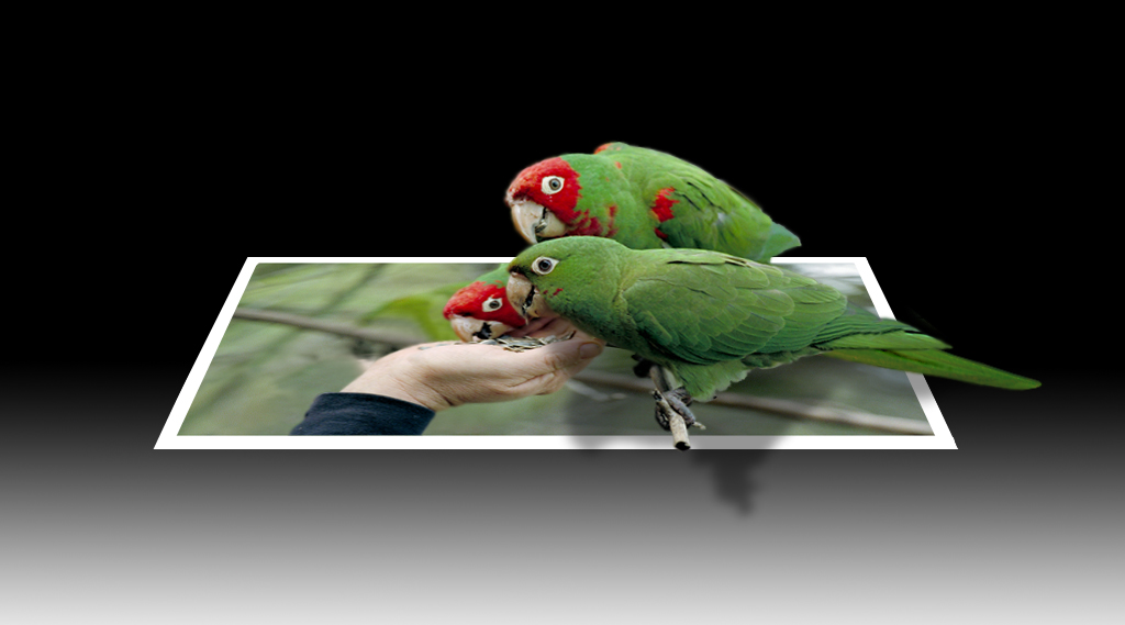 Photoshop Design by mstella for DesignCrowd (Community Contests) | Design #9019141