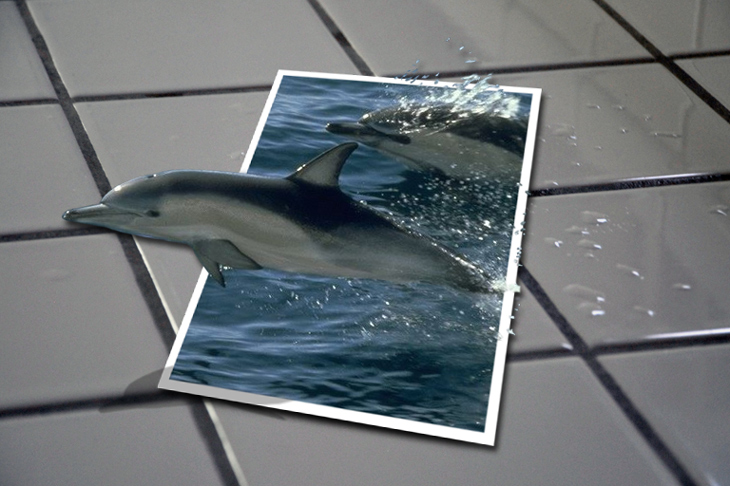 Photoshop Design by theheckler for DesignCrowd (Community Contests) | Design #9019134