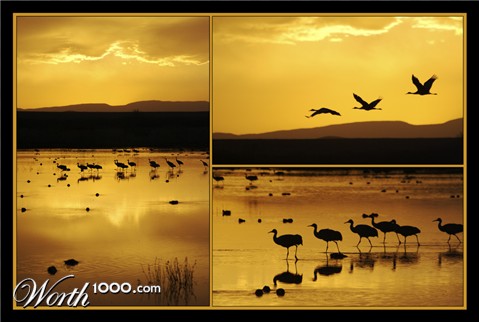 Photography by drdonallen