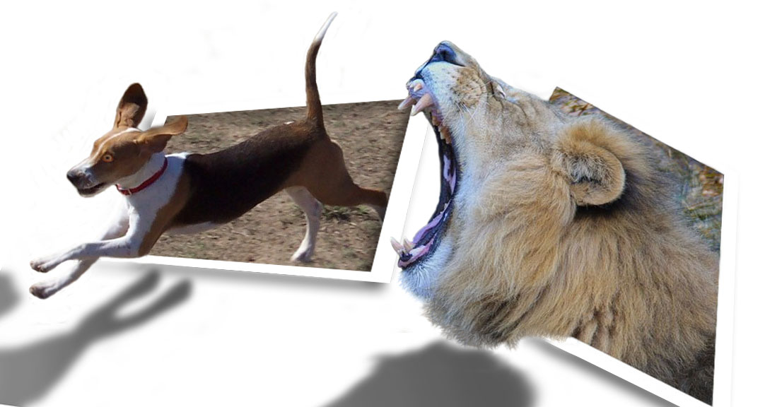 Diseño de Photoshop por nome63 para DesignCrowd (Community Contests) | Diseño #9019023