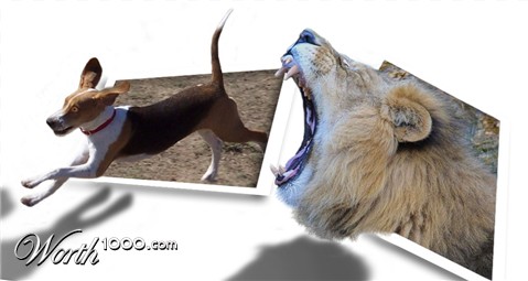 Photoshop Design by nome63