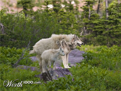 Photoshop Design by bazza99