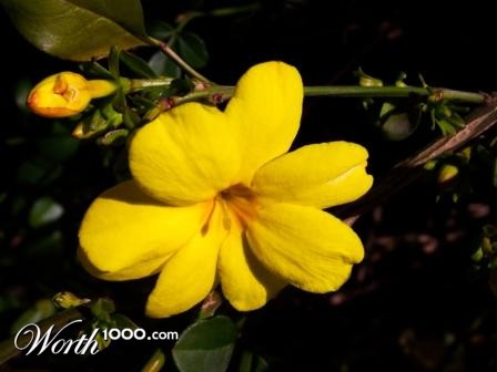 Photography by papachacon