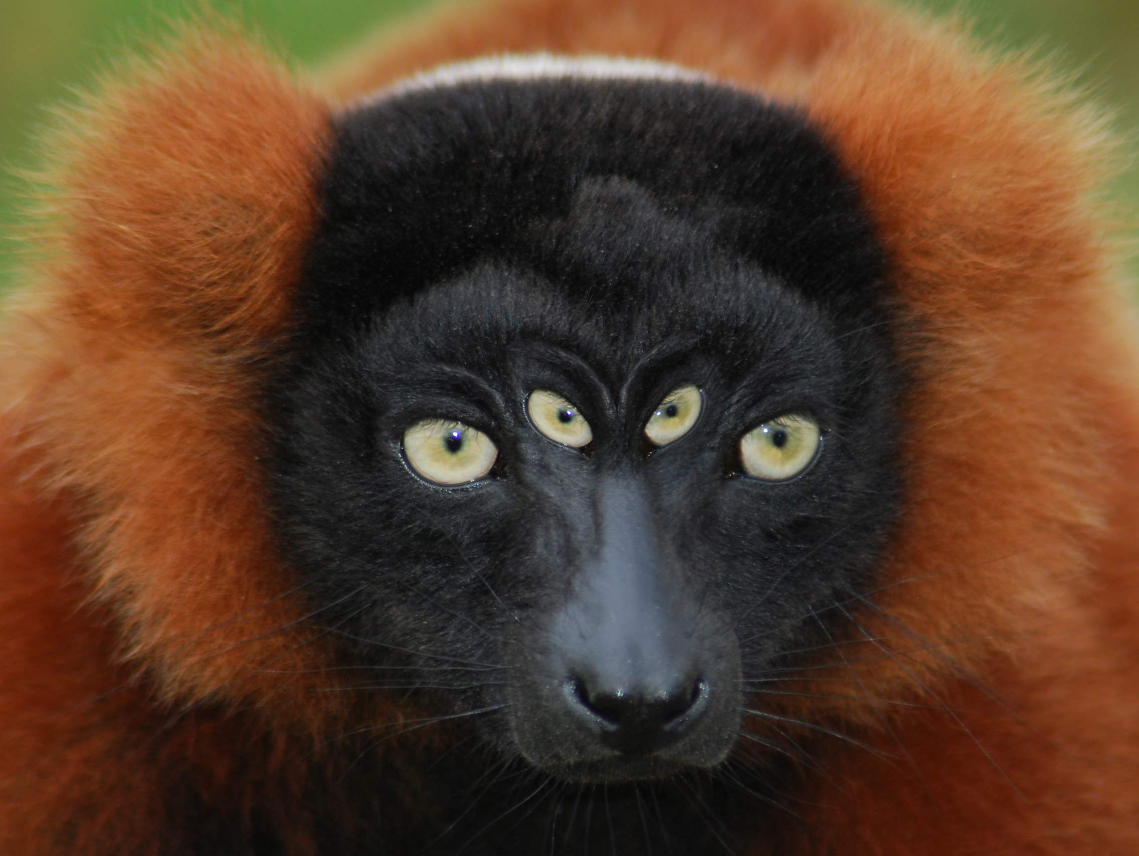 Photoshop-Design von deerreaper für DesignCrowd (Community Contests) | Design #9021771