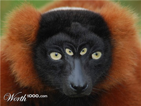 Photoshop Design by deerreaper