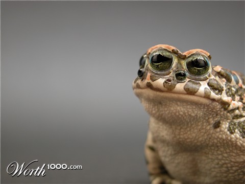 Photoshop Design by emoska