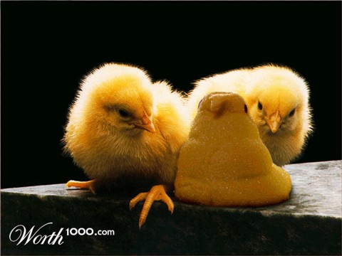 Photoshop Design by Terrence