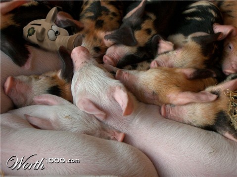 Photoshop Design by flipdakje