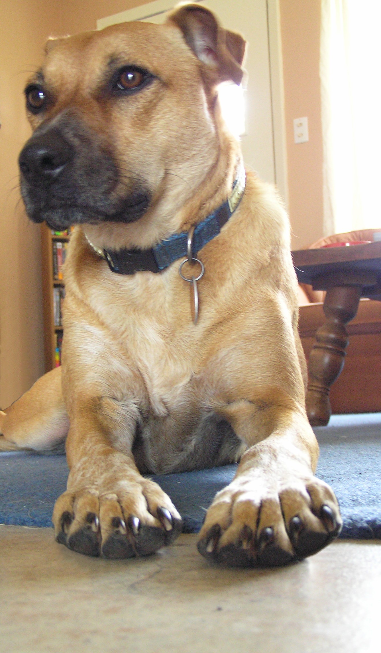 Photoshop-Design von zsomeone für DesignCrowd (Community Contests) | Design #9021752