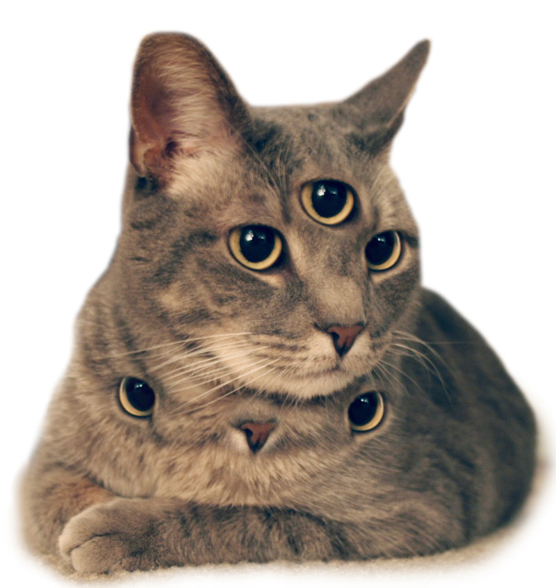 Photoshop Design by Plensje for DesignCrowd (Community Contests) | Design #9021728