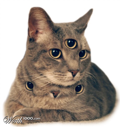 Photoshop Design by Plensje