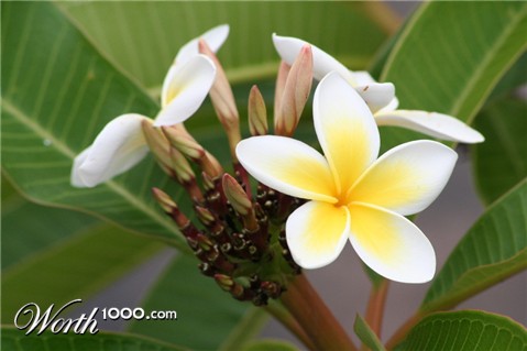 Photography by christelgrie