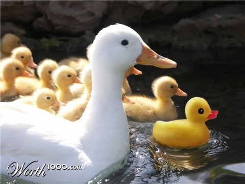 Photoshop Design by rblack