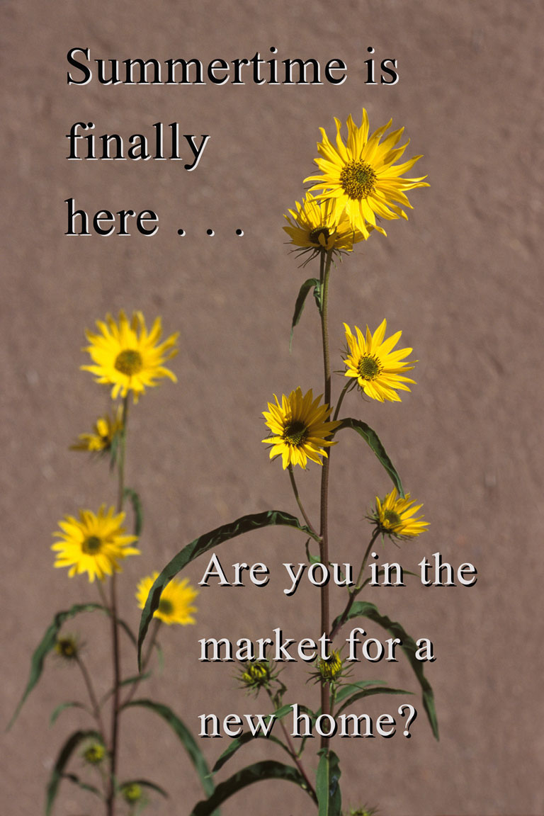 Photographie par oteimages pour DesignCrowd (Community Contests) | Design #9018612