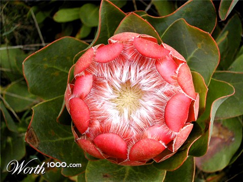 Photography by BBBastet