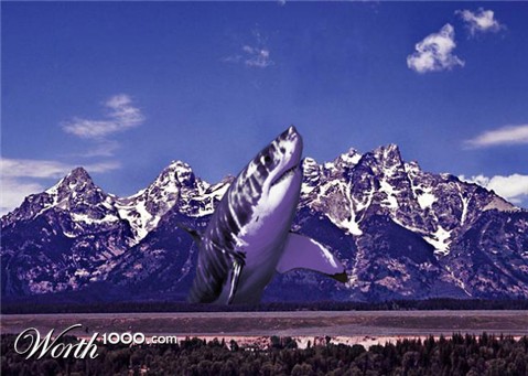Photoshop Design by Mazhou