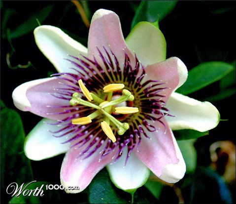 Photography by tlovesd