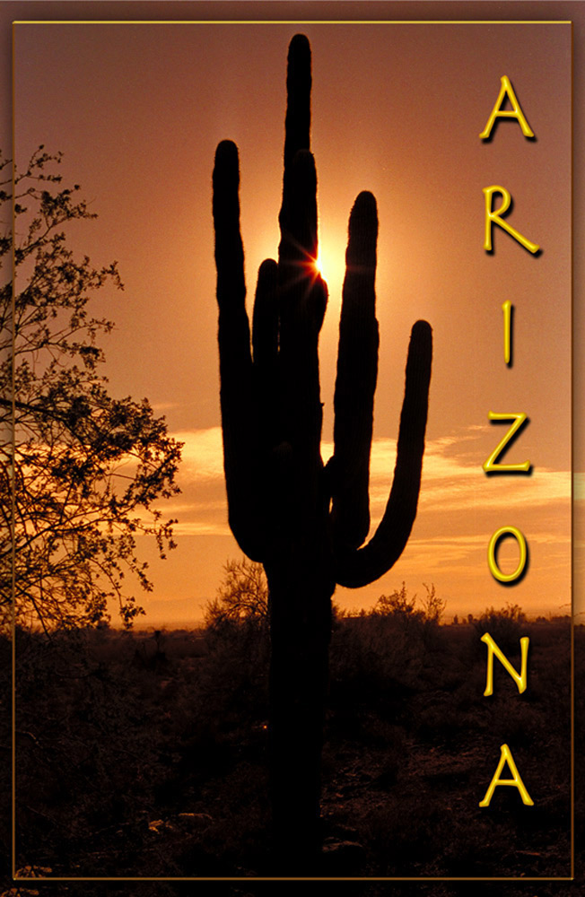 Photography by scarpino36109 for DesignCrowd (Community Contests) | Design #9018630