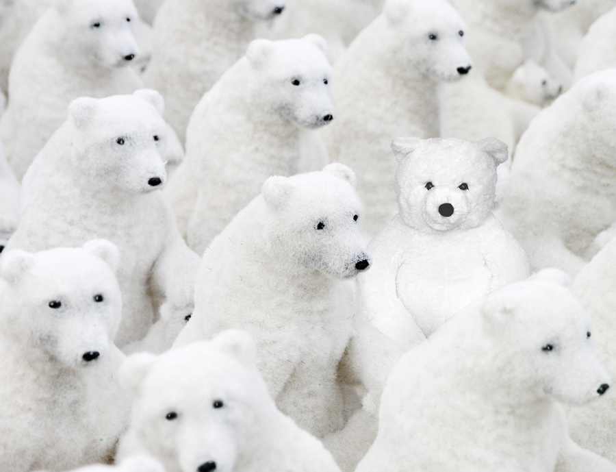 Photoshop Design by shazzcat for DesignCrowd (Community Contests) | Design #9022756