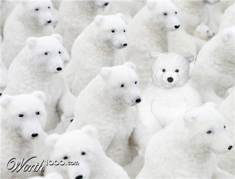 Photoshop Design by shazzcat