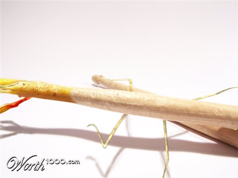 Photoshop Design by flipdakje