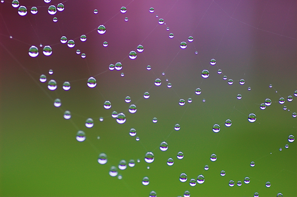 Photography by unit25 for DesignCrowd (Community Contests) | Design #9021999