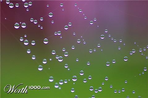 Photography by unit25