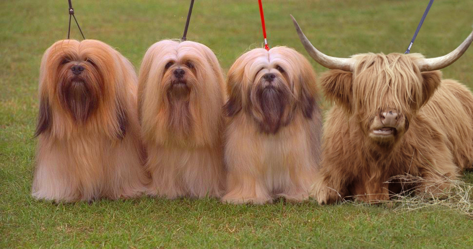 Photoshop Design by rvdutis for DesignCrowd (Community Contests) | Design #9022766