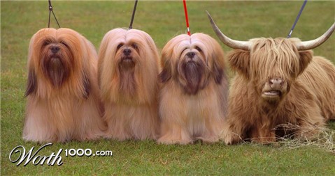 Photoshop Design by rvdutis