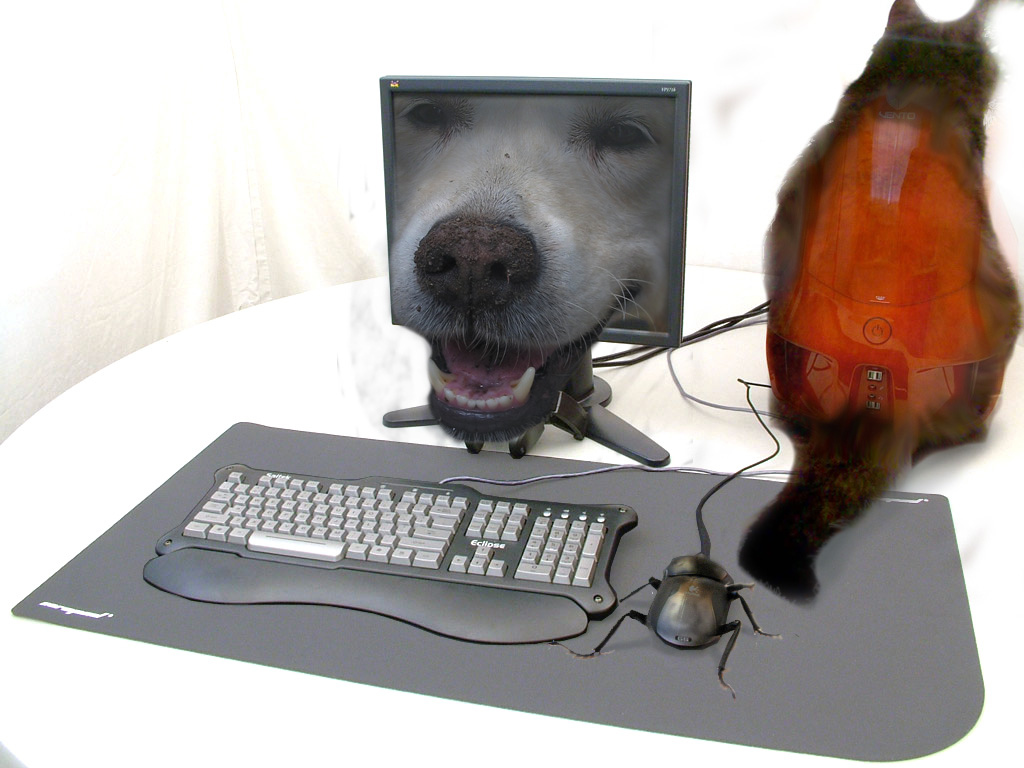 Diseño de Photoshop por marijnpeter para DesignCrowd (Community Contests) | Diseño #9016307