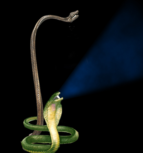 Diseño de Photoshop por bosss1 para DesignCrowd (Community Contests) | Diseño #9016339