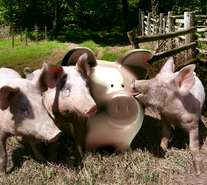 Photoshop Design by tombarreto for DesignCrowd (Community Contests) | Design #9022850