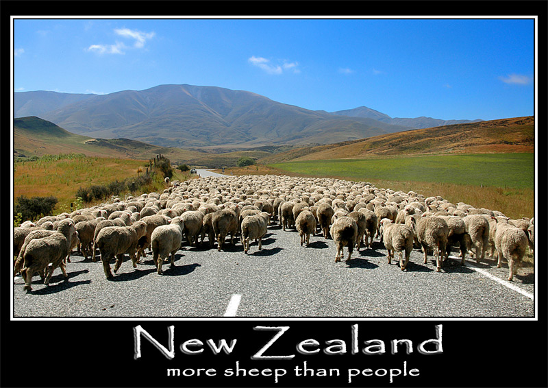 Photography by shazamataz for DesignCrowd (Community Contests) | Design #9018713