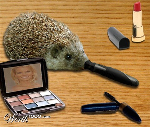 Photoshop Design by Sunbean