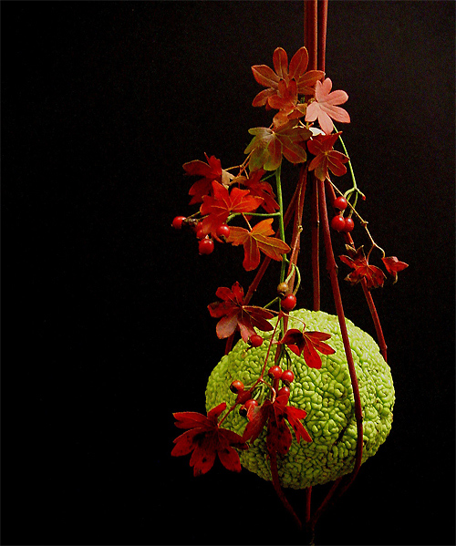 Fotografía por itsmineillshare para DesignCrowd (Community Contests) | Diseño #9022003