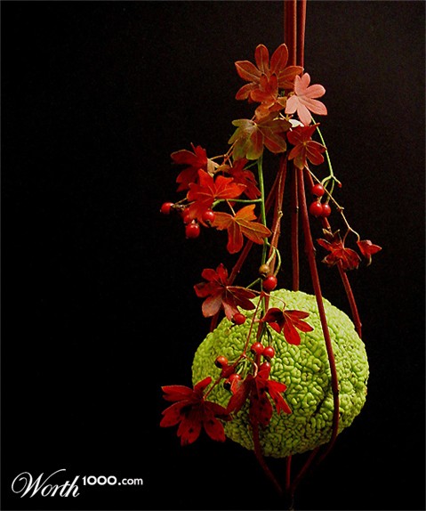 Photography by itsmineillshare