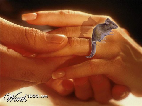 Photoshop Design by srispiderman