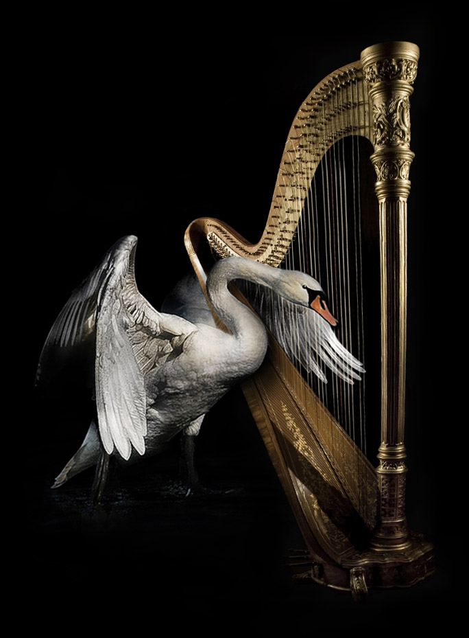 Photoshop Design by ozlemarc for DesignCrowd (Community Contests) | Design #9018748