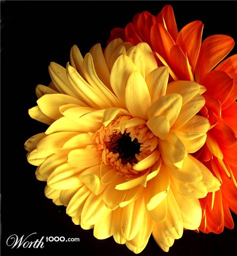 Photography by Berilu