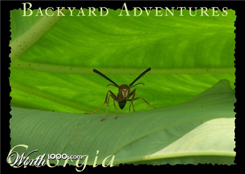 Photography by Mitch Slayton